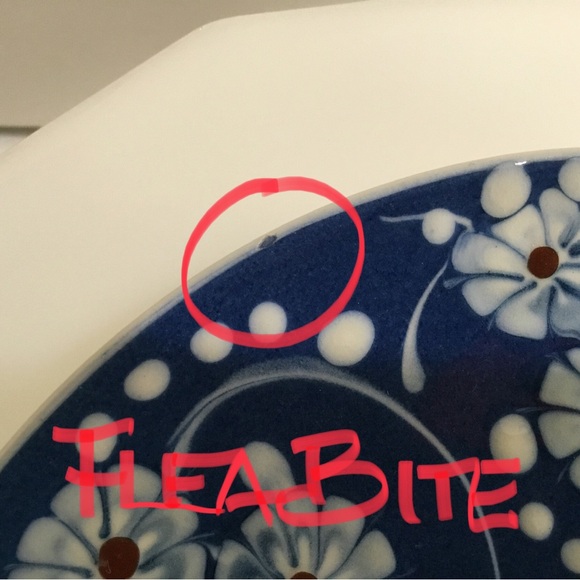 RARE ANTIQUE HAK Denmark 🇩🇰 pottery ‘Marguerit’ or Margueritte’ pattern trio - Picture 16 of 16